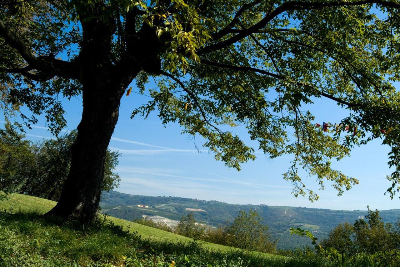 Tenuta Delo Relais 베로나 외부 사진